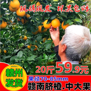 正宗江西赣南脐橙新鲜孕妇水果赣州安远寻乌甜橙子现摘现发20斤
