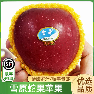 雪原蛇果苹果6粒装 酥甜多汁黄土高原高海拔甘肃红蛇果顺丰包邮
