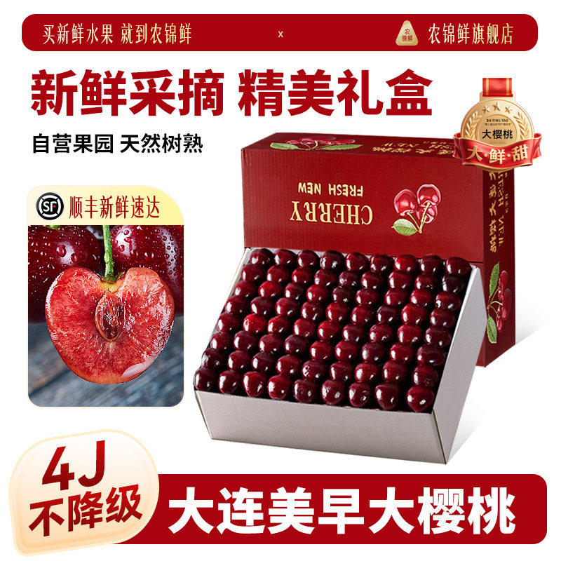大连美早大樱桃5j现货速