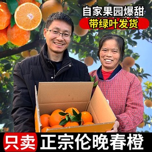 正宗秭归伦晚脐橙自家果园现摘现发10斤新鲜橙子甜橙应季水果包邮