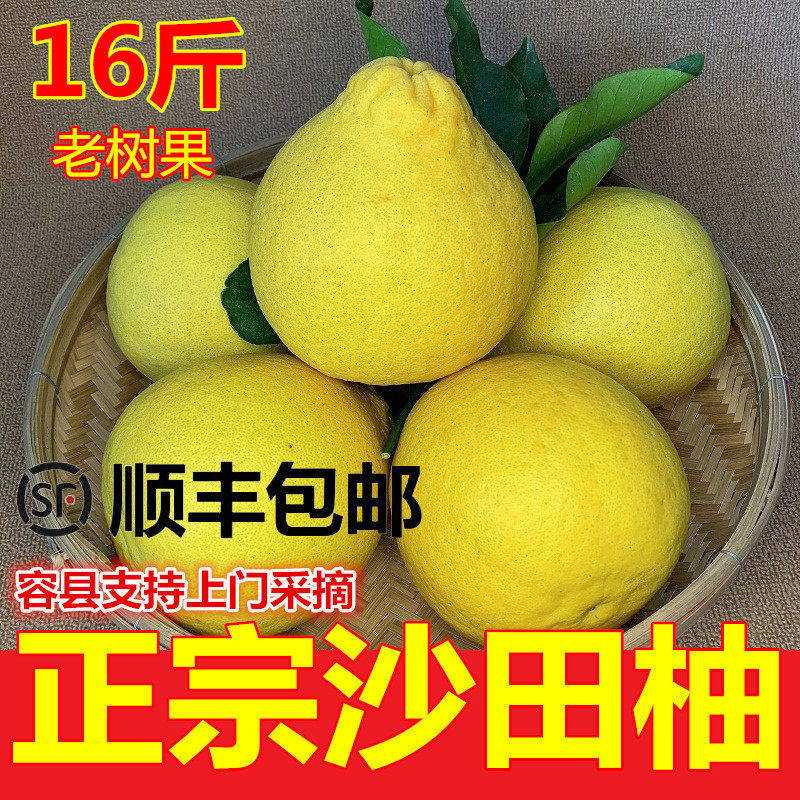 【顺丰】正宗广西容县沙田柚子新鲜孕妇纯甜水果金柚大果16斤包邮,包装,水果包装,淘宝优惠券,粉丝福利购,淘宝优惠卷