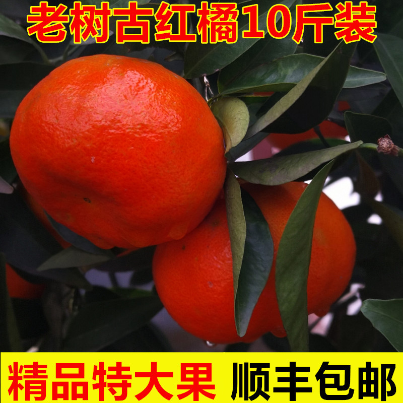 四川红橘万州古红桔大红袍重庆橘子川桔子新鲜水果9斤特大果陈皮