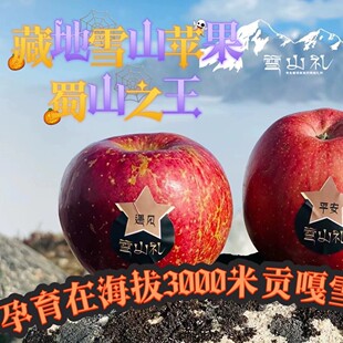 甘孜藏族自治州当季新鲜现摘贡嘎雪山苹果红富士冰糖心8斤礼盒装