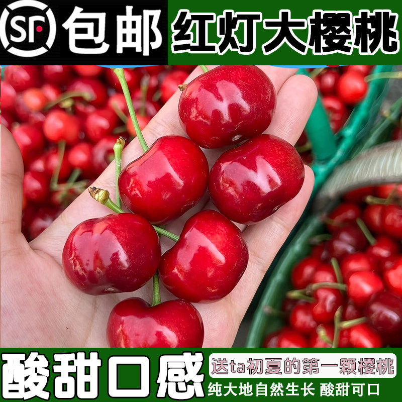 自然熟山东红灯大樱桃3斤