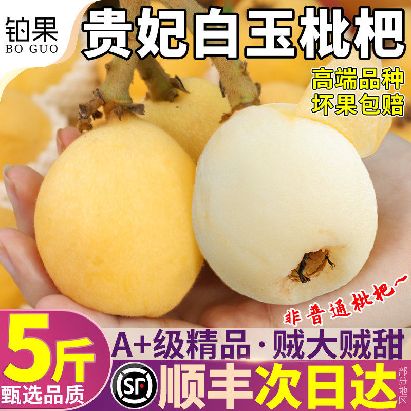顺丰贵妃白玉枇杷鲜果5斤新鲜水果非苏州东山白沙琵琶整箱包邮大