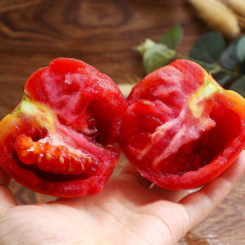 顺丰包邮】正宗新疆西红柿沙瓤番茄老品种新鲜自然熟沙漠普罗旺斯