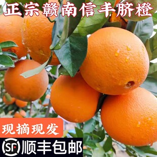 正宗赣南信丰脐橙赣州新鲜橙子20斤产地直发顺丰包邮当季孕妇水果