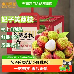 顺丰上门正宗海南妃子笑荔枝大果当季时令新鲜水果新鲜现摘多汁