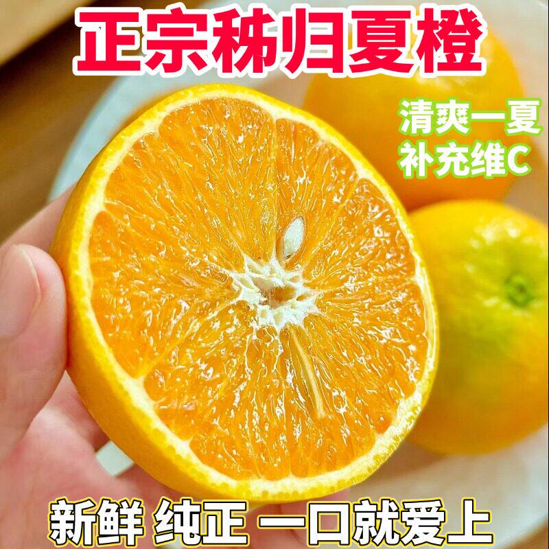 正宗湖北秭归夏橙新鲜水果橙子酸甜多汁孕妇水果榨汁橙子5斤现摘