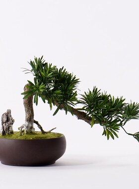 新中式陶瓷盆仿真迎客松装饰摆件现代简约客厅玄R关绿色植物摆设