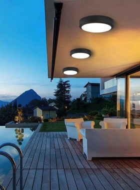 Waterproof Outdoor Ceiling Light Bathroom LighRts Wall Sconc