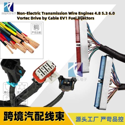 LS1 T56 DBC发动机线束97-06 变速箱汽配线束4.8 5.3 6.0Vl Vorte