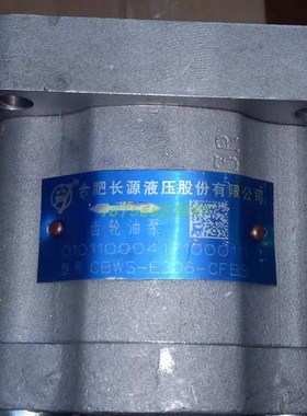 合肥长源液压 齿轮油泵 CBWS-E306-CFBS P液压泵 双向油泵 马达