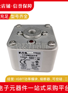 170M5536 170M5537 170M5538 170M5539 170M5540全新熔断器现货