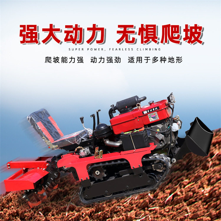 履带旋耕机 迷你开沟机 开沟培土田园管理机  雷亿重工