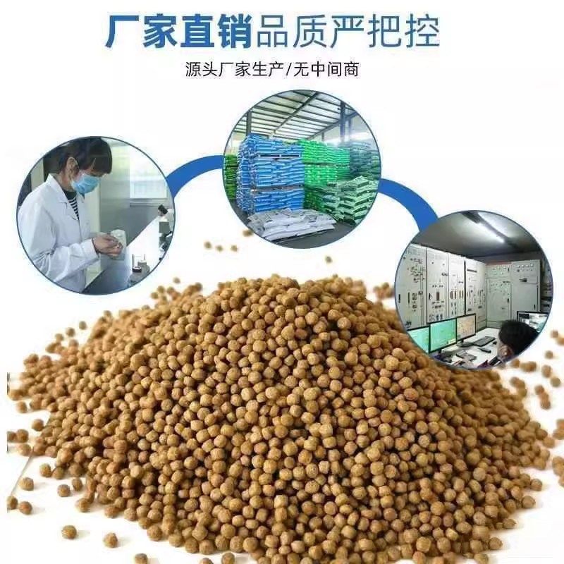 甲鱼饲料鳖饲料鳖水鱼团小甲鱼饲料L王珠鳖乌龟粮养殖专用,宠物/宠物食品及用品,观赏龟/鳖饲料,淘宝优惠券,粉丝福利购,淘宝优惠卷