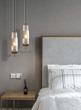 Nordic simplie Smoke gray Pendent lamp restaurant glass desi
