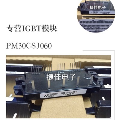 PM10CSJ060 PM30CSJ060 PM20CSJ060 PM15CSJ060 15RSH120 .10RSH