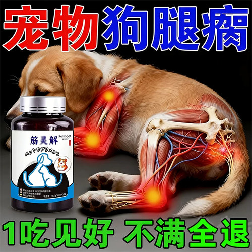 狗狗腿瘸骨折腿无力修复
