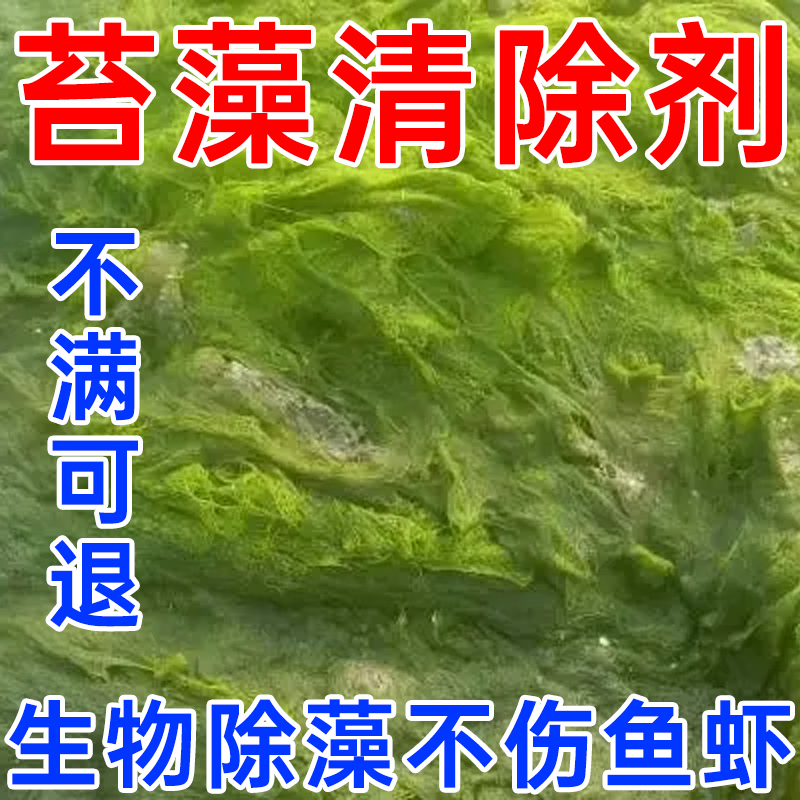 鱼塘水池水塘清除专用