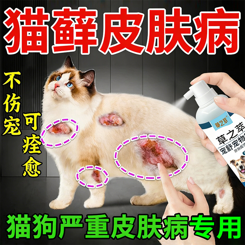 猫癣特专用效猫咪皮肤真菌感染耳朵脱毛猫藓幼猫身上长癣外用喷雾