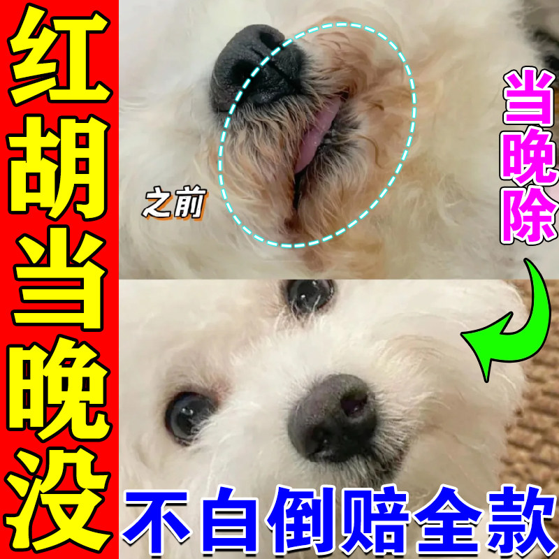 比熊嘴巴去黄胡子狗狗嘴毛去黄