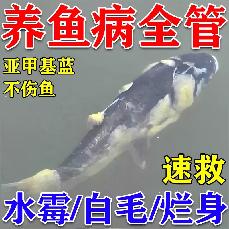 鱼病一塘清急救亚甲基蓝鱼病烂身烂尾白点净水霉病鱼池消毒杀菌剂