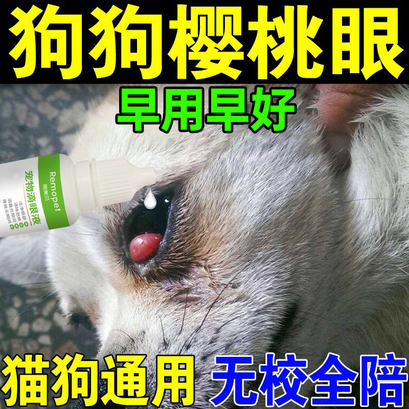 狗狗樱桃眼滴眼液狗狗第三眼睑增生腺体脱出眼水眼息肉眼睛发红