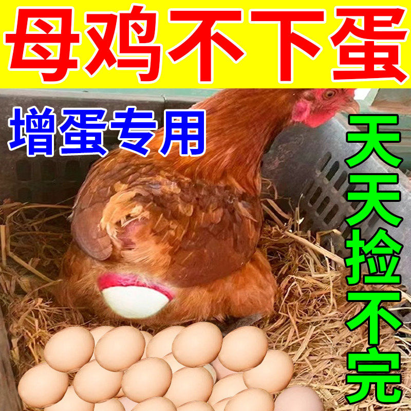 蛋多多鸡下蛋专用增蛋宝鸡鸭鹅产蛋饲料催蛋素鸡不下蛋吃什么,宠物/宠物食品及用品,鸟禽保健品,淘宝优惠券,粉丝福利购,淘宝优惠卷