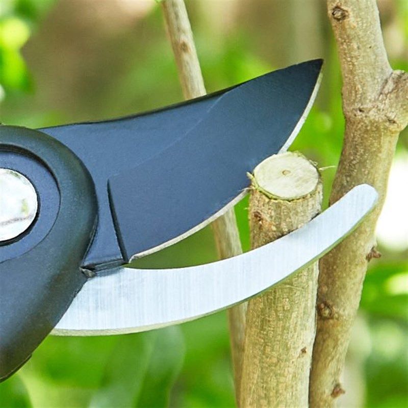 漫生活修枝剪园林剪刀修花园艺树剪E子修剪粗枝省力花剪家用剪枝,鲜花速递/花卉仿真/绿植园艺,剪刀,淘宝优惠券,粉丝福利购,淘宝优惠卷