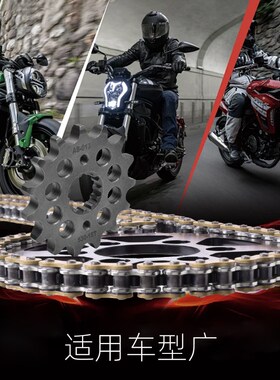 适用川崎GPZ/iGPX500/600摩托车大小飞齿轮静音油封炼条套炼配件