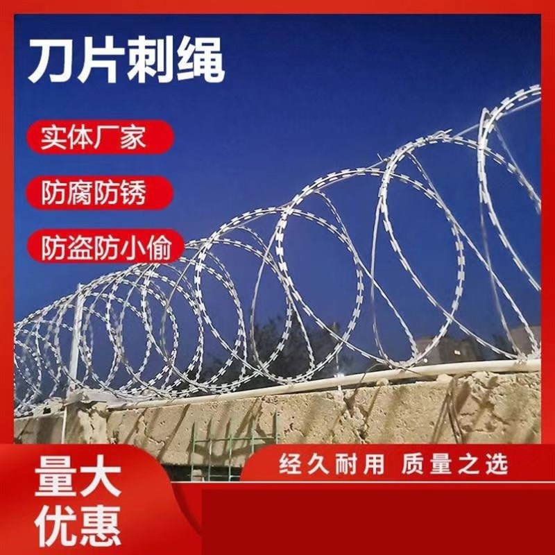 刺滚笼刺绳铁丝网铁蒺藜刺网围墙C防攀爬钢丝刺绳带刺耐用刀刺丝