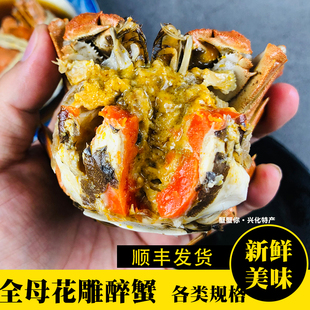 熟醉蟹花雕醉制口味全母大蟹红膏即食顺丰发货河蟹大闸蟹兴化特产