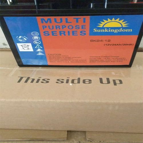 阳光金顿蓄电池SK100-12y 绿色储能型 机房EPS不间断电源