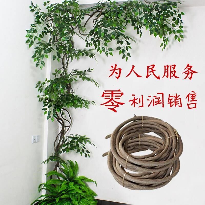 藤条藤蔓树藤枯藤老山藤红山藤树枝树叶水管装饰爬墙W吊顶花架管