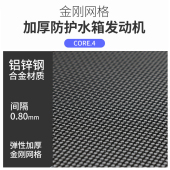 21款 专用v19 帕萨特汽车水箱中网前脸保护 帕萨特防虫k网改装 20款