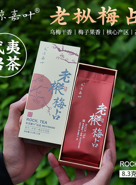 梅占武夷岩茶梅子花香老枞梅占乌龙茶老树浓香型大红袍茶叶品鉴装
