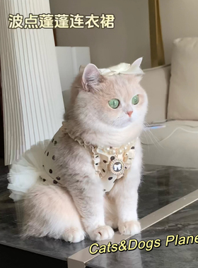 猫咪狗狗夏款清凉公主裙波点蓬蓬裙可爱防掉毛金渐层蓝猫比熊犬猫
