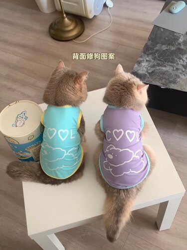 夏季薄款防晒清凉背心猫咪狗衣服