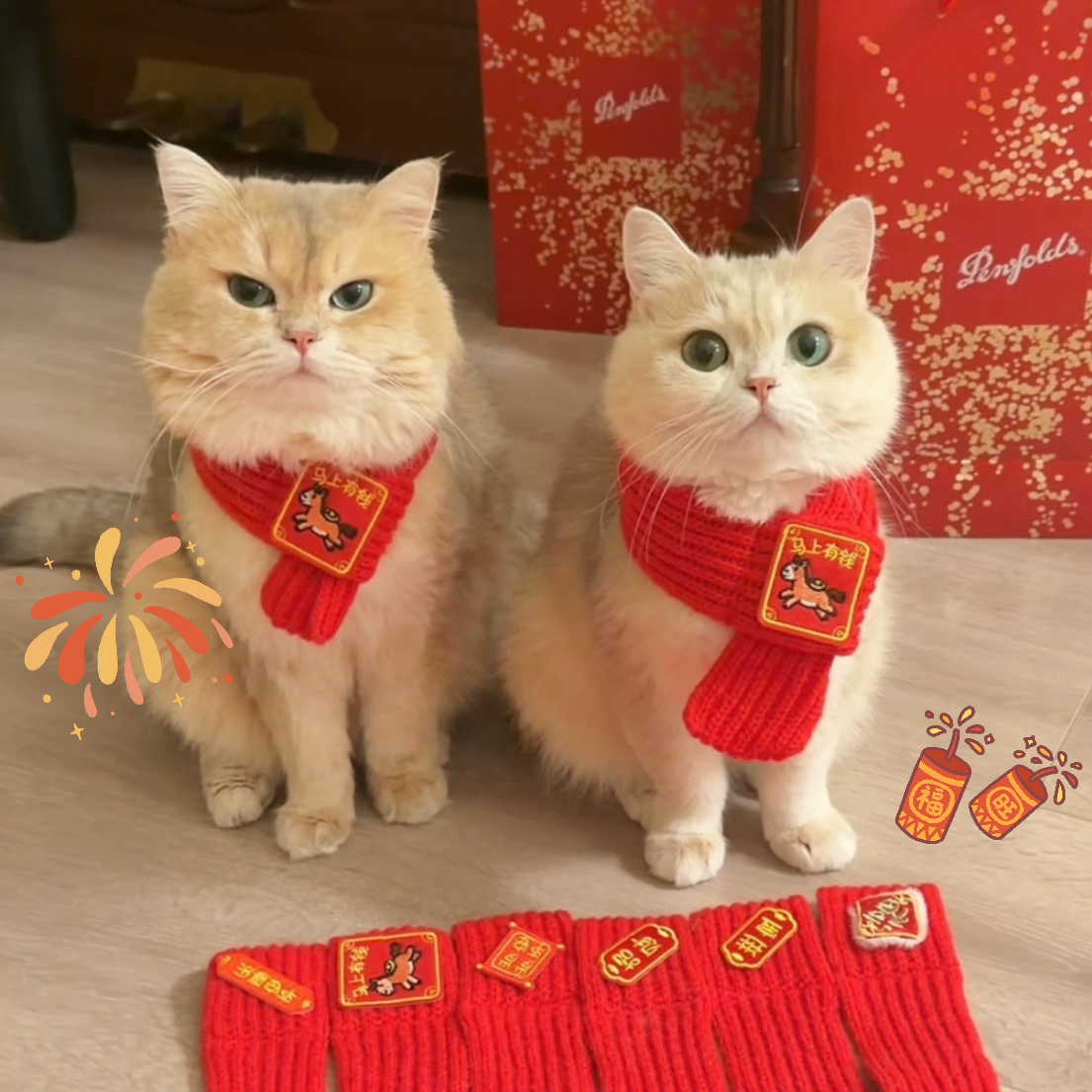 宠物新年围巾猫咪狗狗过年红色国围脖中国风秋冬保暖毛线针织喜庆,宠物/宠物食品及用品,围巾/口水巾,淘宝优惠券,粉丝福利购,淘宝优惠卷