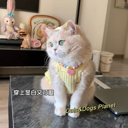 春夏新款宠物防掉毛狗狗猫咪背心华夫格透气服饰项链套装金渐层猫