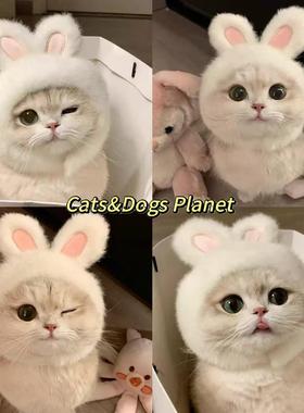猫咪头套宠物帽子可爱搞怪狗狗幼犬拍照道具兔耳朵头饰变装帽装扮