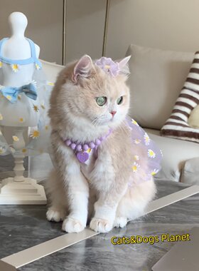 猫咪夏季薄款防掉毛吊带狗狗通用