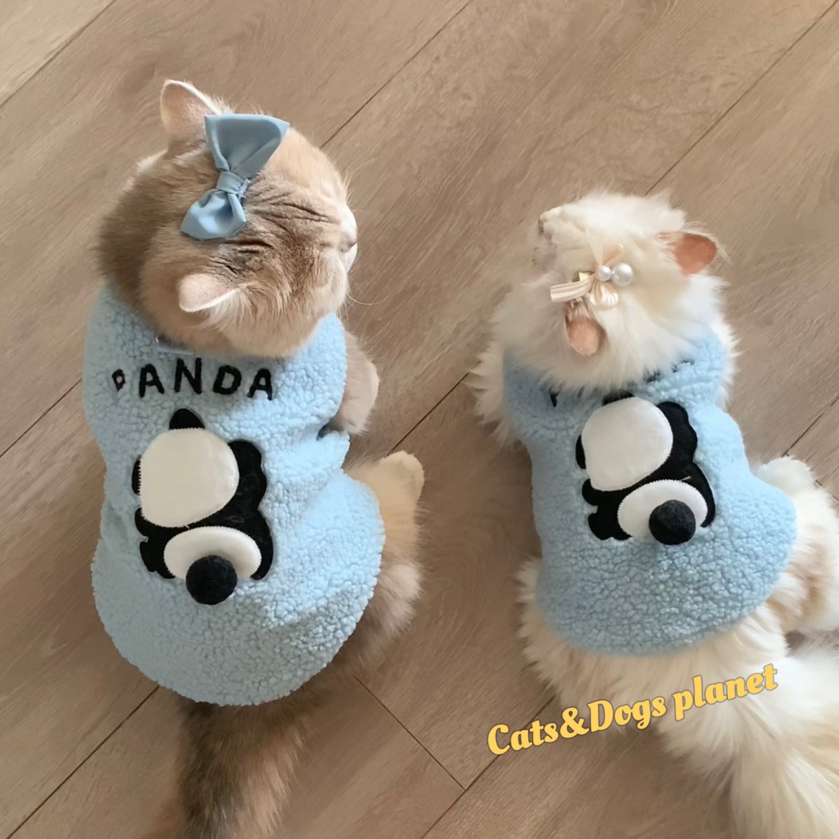 猫咪衣服狗狗羊羔绒背心秋冬款保暖可爱立体服装蓝金渐层布偶比熊