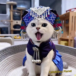 宠物猫咪狗狗壮族服饰通用民族风服装壮族头饰苗族金渐层小型犬