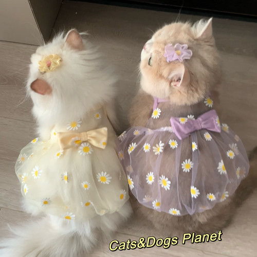 猫咪狗狗通用网纱小裙子透气凉爽