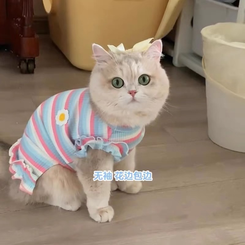 猫咪衣服韩系春夏新款金渐层美短德文泰迪比熊狗狗背心连衣裙宠物