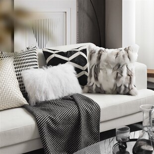 现代简约轻奢高级感沙发r抱枕黑白系列客厅酒店样板间组合搭配靠