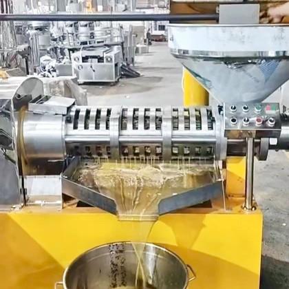 全自动榨油机280大型榨油机商用油坊加工花生油压榨设备