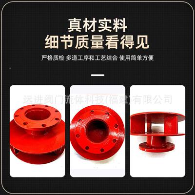 家售法兰旋流直防止8器YQFX4球墨铸铁DN50 65厂 0 100等规格齐全